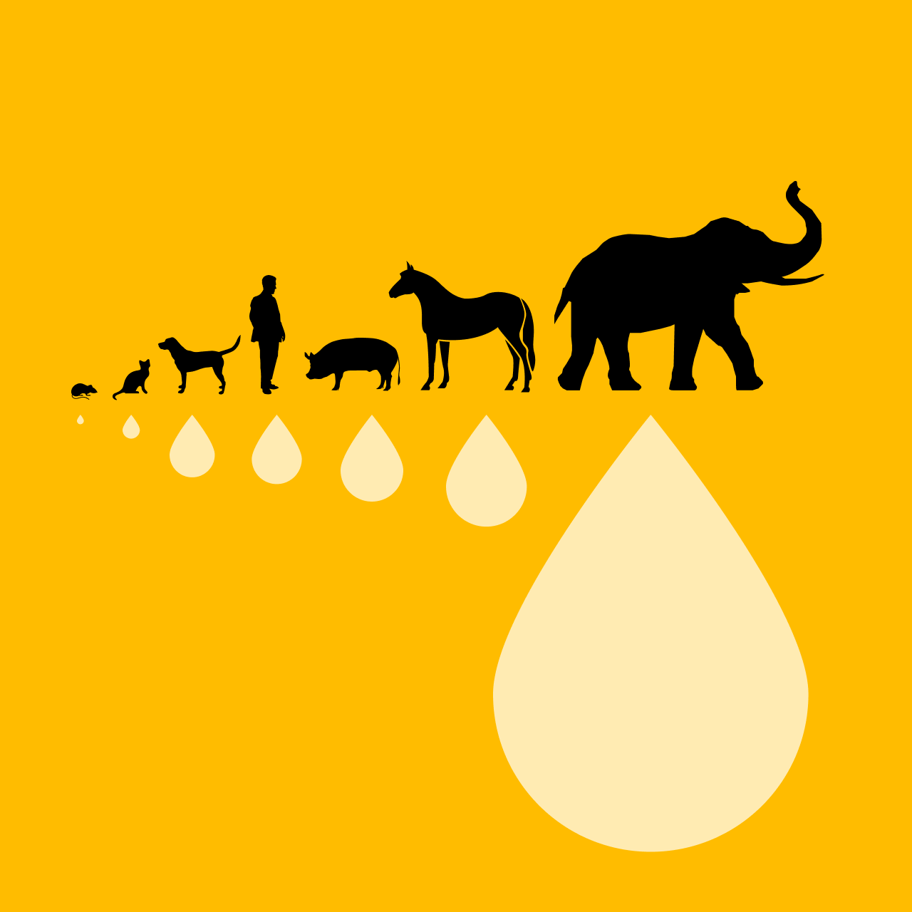 arte-urine.png
