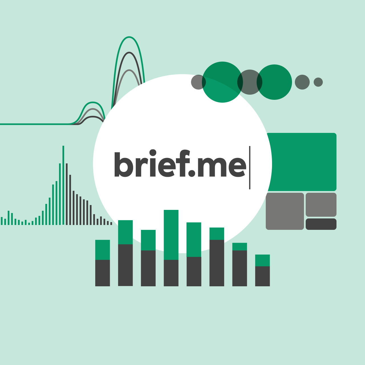 briefme_dataviz.png