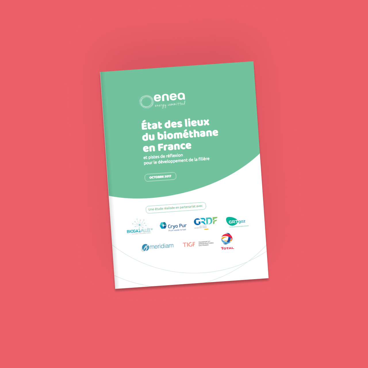 enea-rapport-biomethane.png